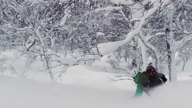 在粉状冬季条件下，滑雪板通过树下山视频素材