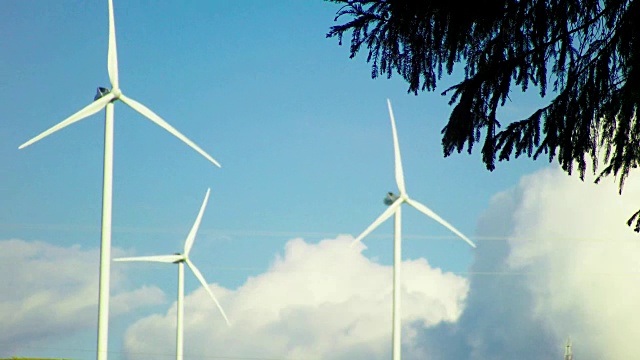 农场有天空，云彩和针叶树的树枝视频下载