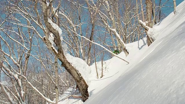 单板滑雪跳下树进入粉末雪晴天视频素材