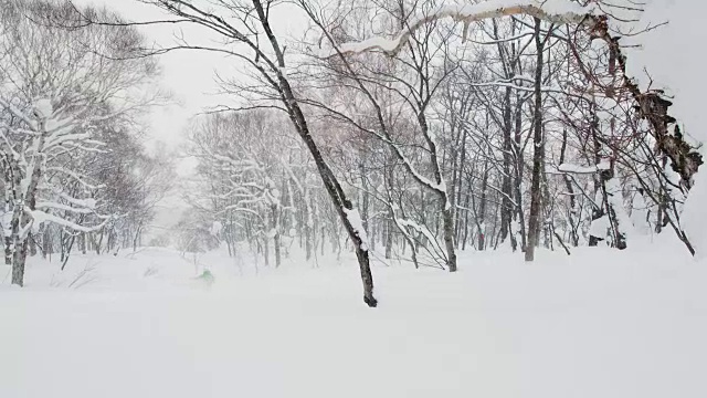 滑雪板空中离开树后360在粉末野外自由式骑冬季运动场景视频素材