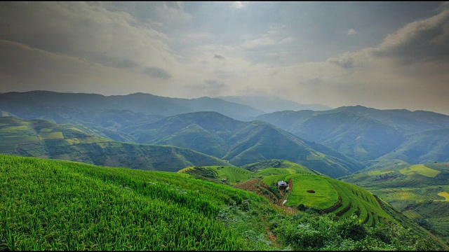 越南盐白木仓寨梯田上的稻田。越南西北部的稻田正在准备收割。越南的风景。视频素材