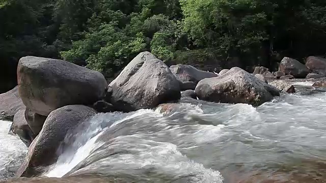 小溪在山上，春天有岩石视频素材