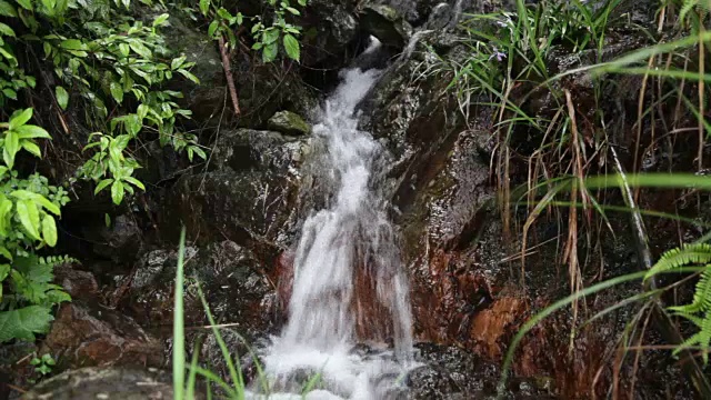 小溪在山上，春天有岩石视频素材