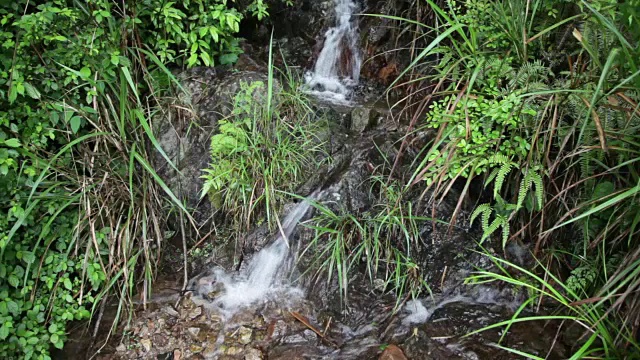 小溪在山上，春天有岩石视频素材