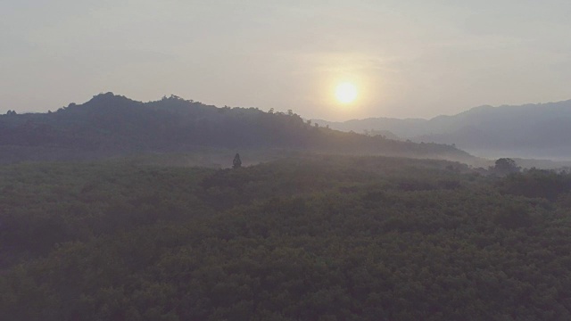 太阳从热带雨林中升起。天线。视频素材