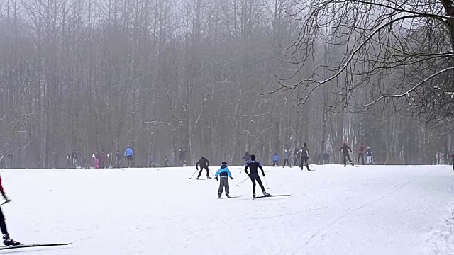 年轻的滑雪者带着滑雪杆在大雪下的雪道上滑雪，草地被森林包围。活跃的冬季运动-越野滑雪在新鲜空气，克拉斯诺耶塞洛，俄罗斯视频素材