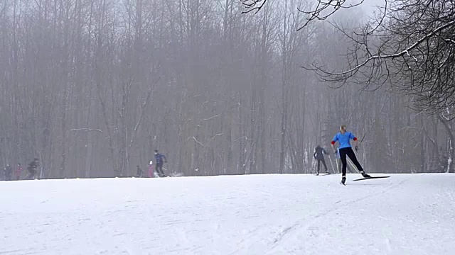 年轻的滑雪者带着滑雪杆在大雪下的雪道上滑雪，草地被森林包围。活跃的冬季运动-越野滑雪在新鲜空气，克拉斯诺耶塞洛，俄罗斯视频素材