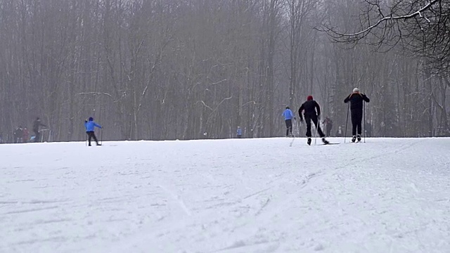 年轻的滑雪者带着滑雪杆在大雪下的雪道上滑雪，草地被森林包围。活跃的冬季运动-越野滑雪在新鲜空气，克拉斯诺耶塞洛，俄罗斯视频素材