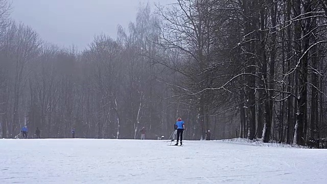 年轻的滑雪者带着滑雪杆在大雪下的雪道上滑雪，草地被森林包围。活跃的冬季运动-越野滑雪在新鲜空气，克拉斯诺耶塞洛，俄罗斯视频素材