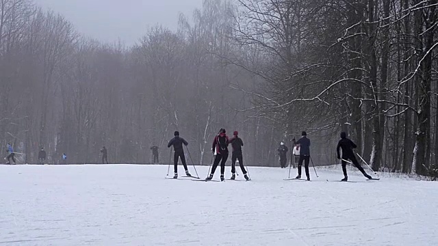 年轻的滑雪者带着滑雪杆在大雪下的雪道上滑雪，草地被森林包围。活跃的冬季运动-越野滑雪在新鲜空气，克拉斯诺耶塞洛，俄罗斯视频素材