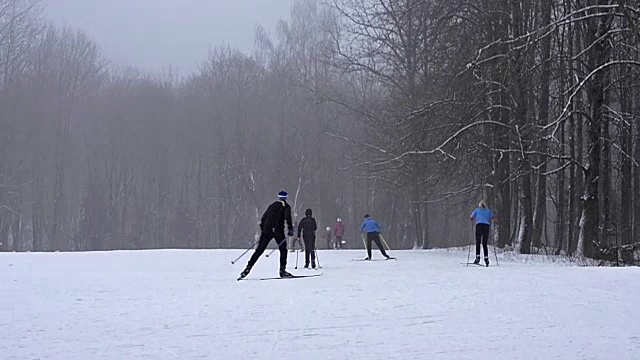 年轻的滑雪者带着滑雪杆在大雪下的雪道上滑雪，草地被森林包围。活跃的冬季运动-越野滑雪在新鲜空气，克拉斯诺耶塞洛，俄罗斯视频素材