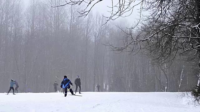 年轻的滑雪者带着滑雪杆在大雪下的雪道上滑雪，草地被森林包围。活跃的冬季运动-越野滑雪在新鲜空气，克拉斯诺耶塞洛，俄罗斯视频下载