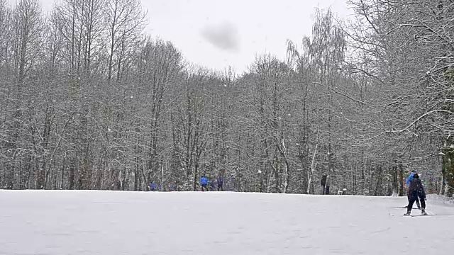 年轻的滑雪者带着滑雪杆在大雪下的雪道上滑雪，草地被森林包围。活跃的冬季运动-越野滑雪在新鲜空气，克拉斯诺耶塞洛，俄罗斯视频下载