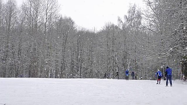 年轻的滑雪者带着滑雪杆在大雪下的雪道上滑雪，草地被森林包围。活跃的冬季运动-越野滑雪在新鲜空气，克拉斯诺耶塞洛，俄罗斯视频素材