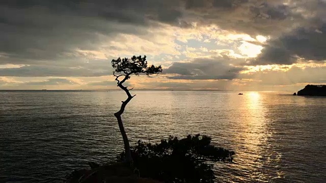 日本海面上的日落，鸟儿飞过视频素材