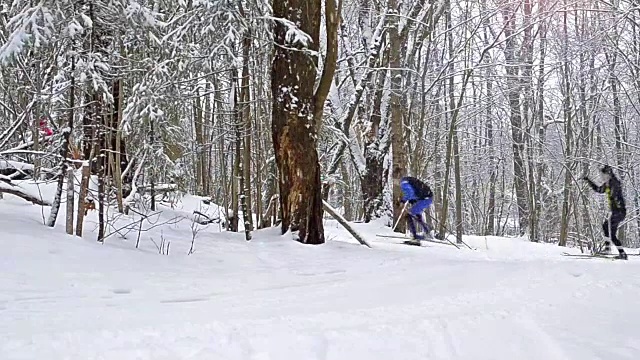 装备滑雪者在大雪覆盖的森林里用滑雪杆在雪道上滑雪。活跃的冬季运动-越野滑雪在新鲜空气。Dudergof, Krasnoye Selo，俄罗斯视频素材