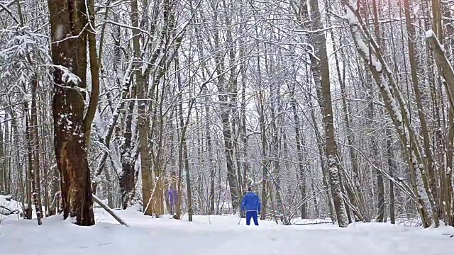 装备滑雪者在大雪覆盖的森林里用滑雪杆在雪道上滑雪。活跃的冬季运动-越野滑雪在新鲜空气。Dudergof, Krasnoye Selo，俄罗斯视频素材