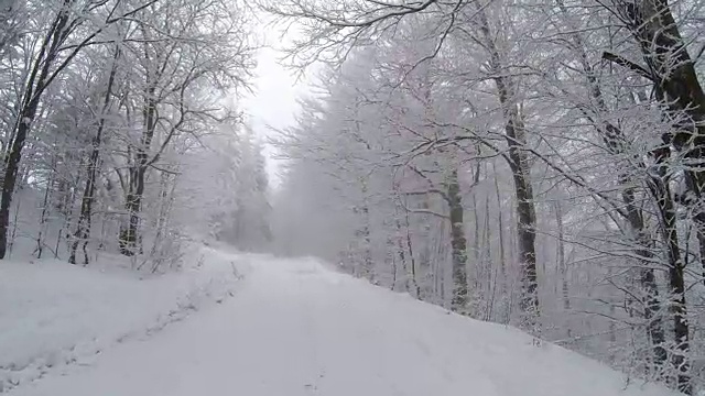 在冬天的时候，山上有一条空旷的雪覆盖的道路，两边都是树。视频素材