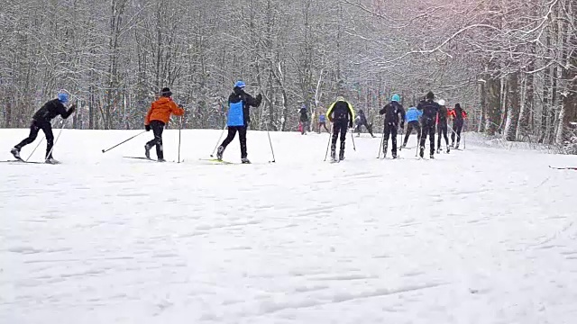 年轻的滑雪者带着滑雪杆在大雪下的雪道上滑雪，草地被森林包围。活跃的冬季运动-越野滑雪在新鲜空气，克拉斯诺耶塞洛，俄罗斯视频下载