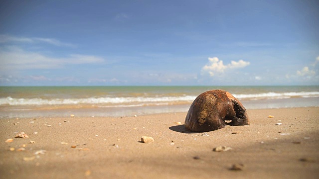 热带海滩视频素材