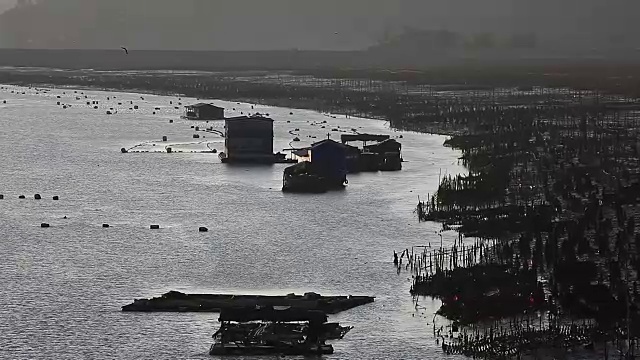 福建霞浦，农民在海边养殖鲍鱼，在水中放入大量笼子。他们生活在海面上。视频素材