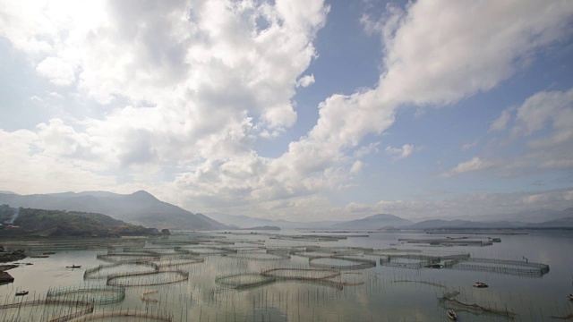 在福建省霞浦市的蟹养殖中，蟹均采用圈护笼养殖视频素材