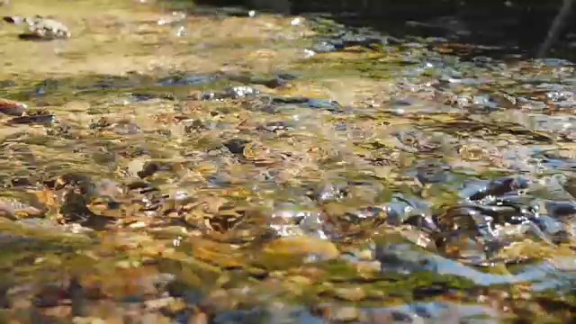 清澈的河水中流动的水，动作缓慢视频素材