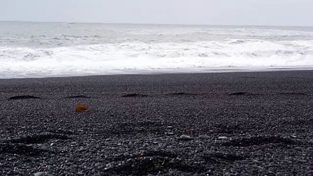 4K黑沙熔岩海滩在维克，冰岛。低角度，倾斜的地标海滩附近的玄武岩海栈视频素材