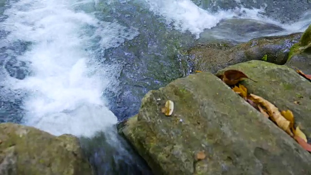 小溪瀑布在美丽的绿色大自然视频素材