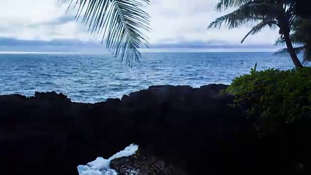 时间流逝-云景移动与棕榈树的海洋视频素材