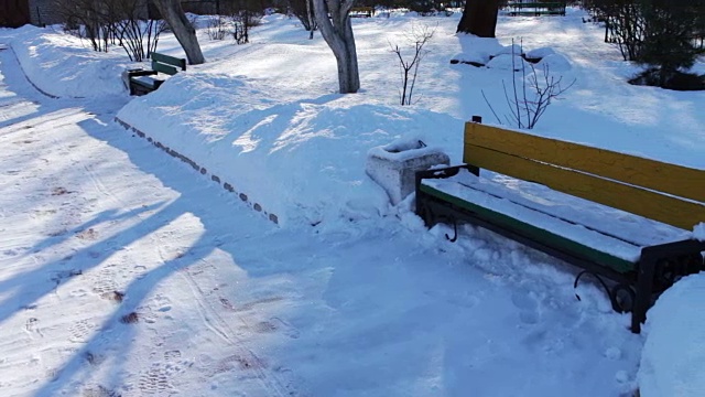 白雪覆盖的公园步道。视频素材