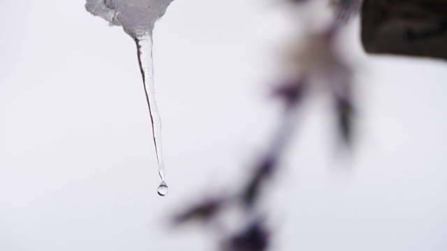 一到春天，雪就从屋顶上融化，滴落下来视频素材