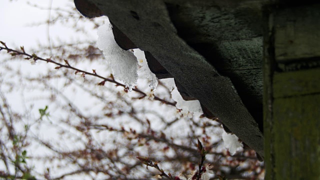 一到春天，雪就从屋顶上融化，滴落下来视频素材