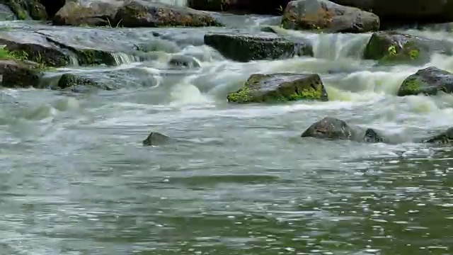 森林溪流时间流逝视频素材