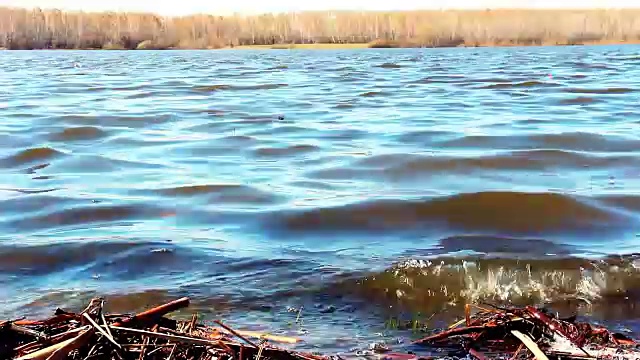 湖里的水视频素材