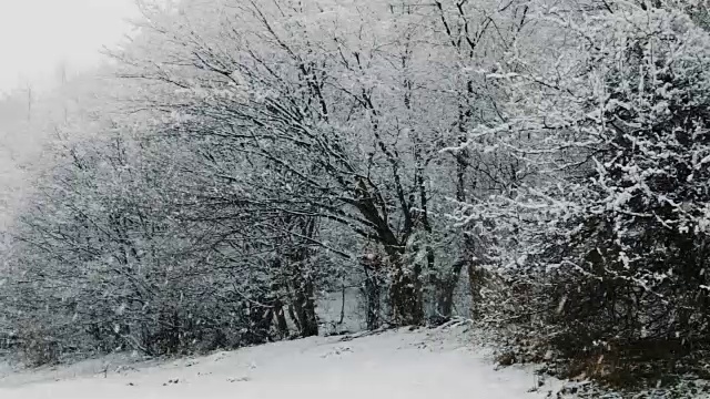 特兰西瓦尼亚冬季降雪视频素材