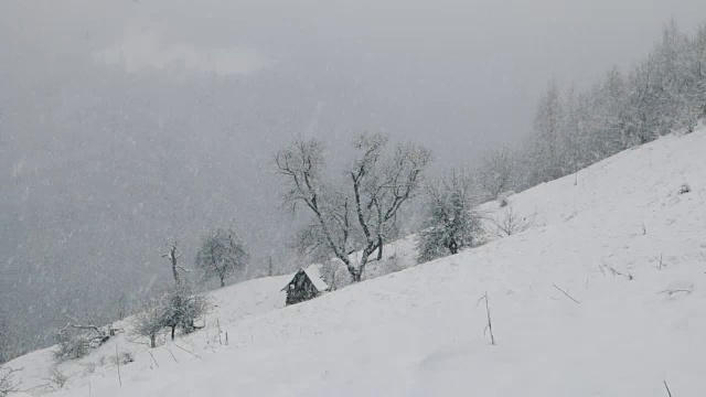 特兰西瓦尼亚冬季降雪视频素材