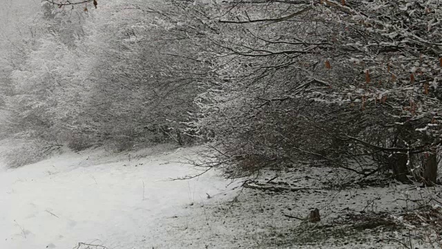 特兰西瓦尼亚冬季降雪视频素材