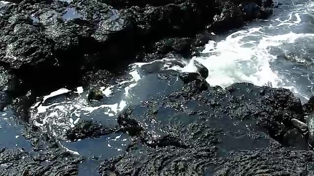 夏威夷科纳黑熔岩岩上的海浪视频素材