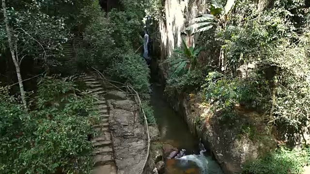 丛林里的水上索道视频素材