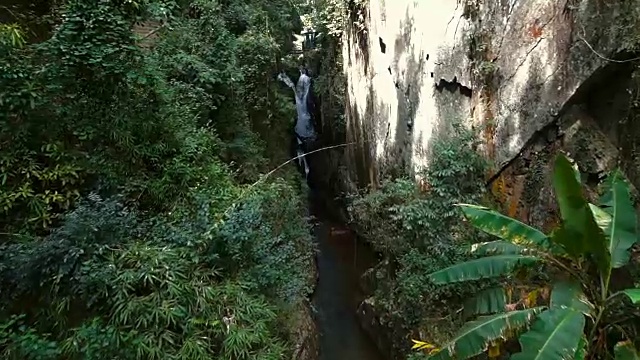 丛林里的水上索道视频素材