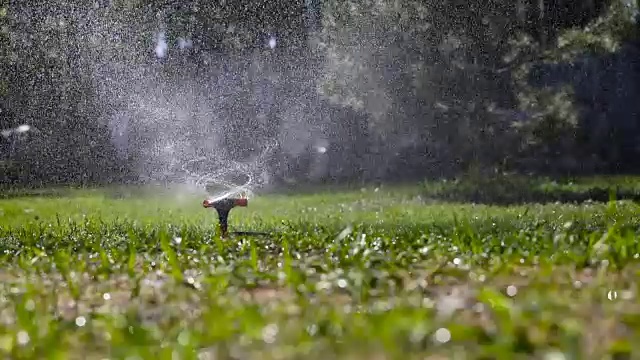 花园洒水器浇草视频素材