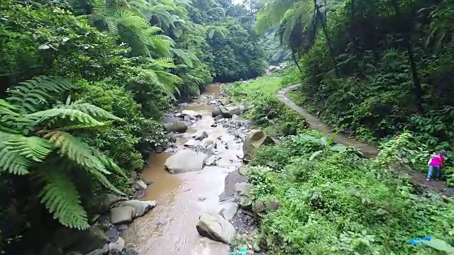 无人机拍摄热带河流。岛巴厘岛。视频素材