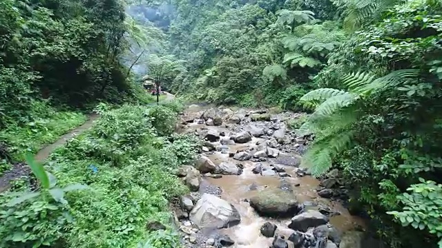 无人机拍摄热带河流。岛巴厘岛。视频素材