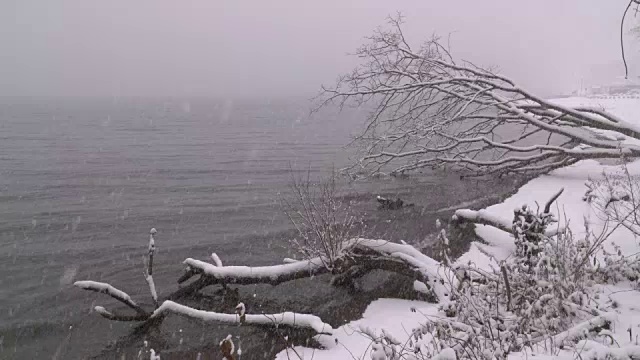 雪覆盖的色津湖岸边视频素材