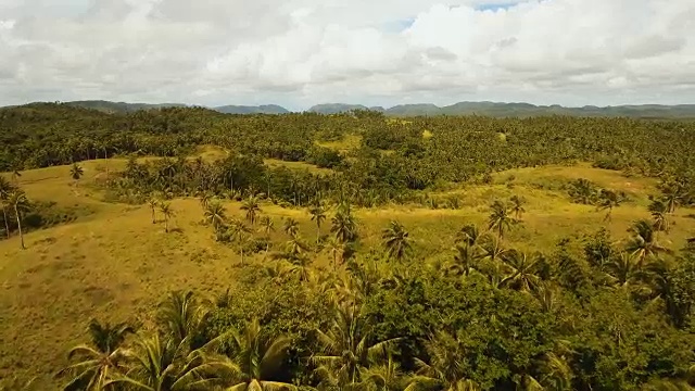 稻田鸟瞰图。菲律宾,Siargao视频素材