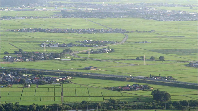 秋田市的稻田鸟瞰图视频素材