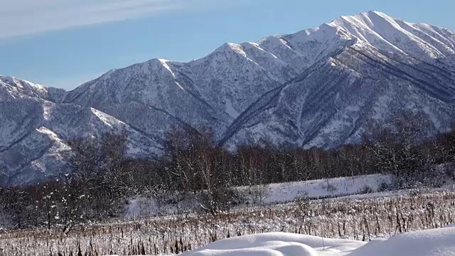 孤独的山顶上的树木和树木覆盖着冰冷的冰雪在冬天视频素材