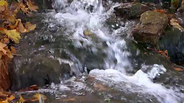 山腰的流水冲刷着磨石，在阳光下波光粼粼，抚摸着枫叶视频素材