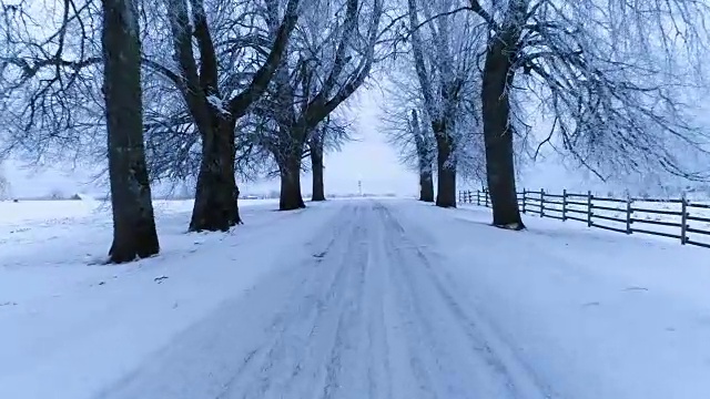 积雪覆盖的道路两旁是树视频素材